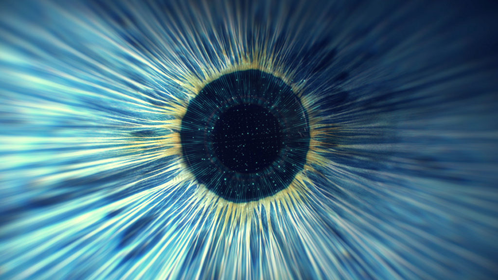 Iris de l'oeil humain, tiré de la série Une espèce à part / Insignificant de Franck Courchamp et Clément Morin