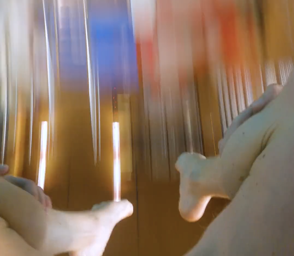 Red Bull Cliff Diving Paris